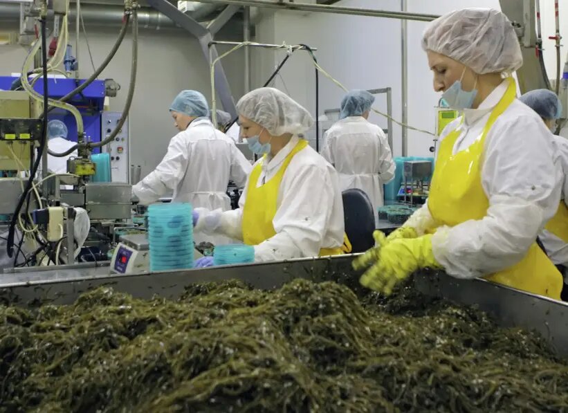     © РИА Новости. Алексей Даничев