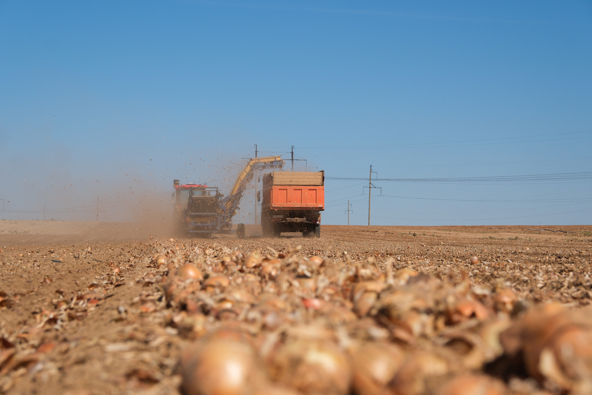    Фото: Дума Астраханской области, источник: astroblduma.ru