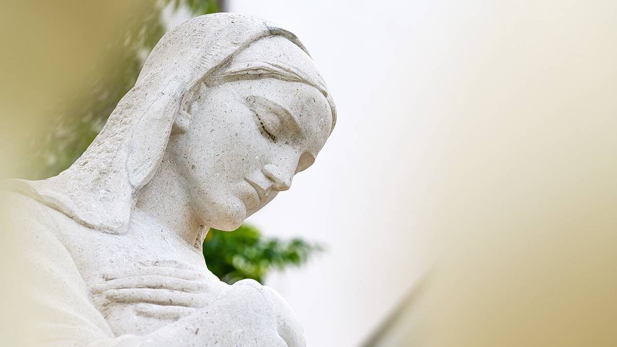    Фото: Shutterstock