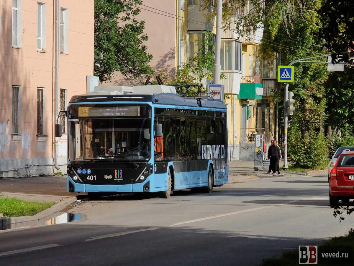     Фото: Владислав Постников / Вечерние ведомости