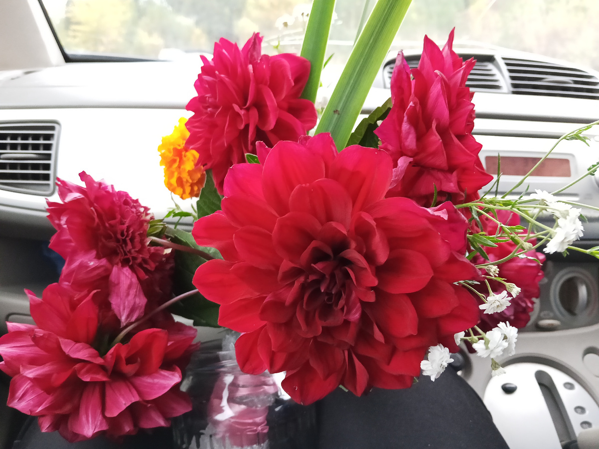 Фото автора.