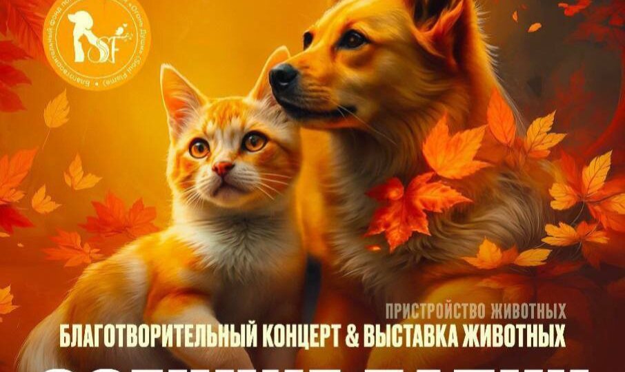 В Подольске 13 сентября пройдет благотворительная акция Осенние лапки