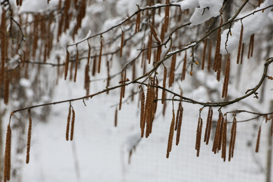    Наталья Шатохина/NEWS.ru
