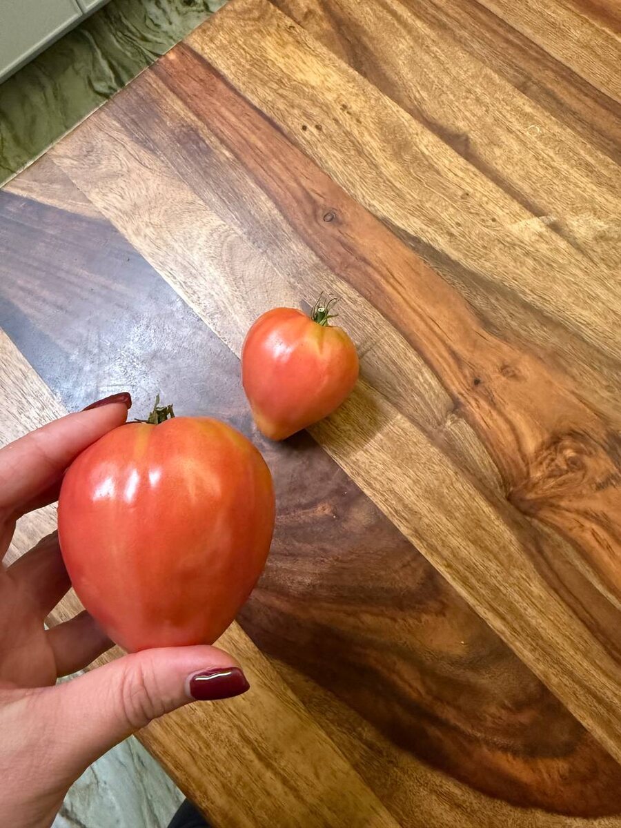 инвестиции, ошибки инвесторов, неудачные вложения, недвижимость, пассивный доход, теплица за 300 тысяч, газон уход, инвестиции для начинающих, ошибки в инвестициях, финансовая грамотность, Наталья Красавченко