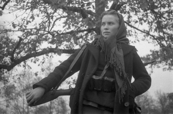 фото Яндекса