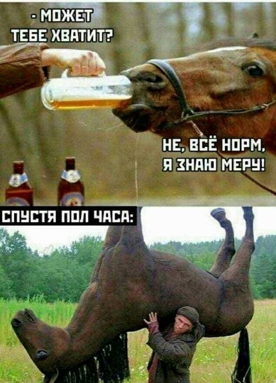 Как успокаивает смех? Веселая подборка МЕМОВ! 🤣