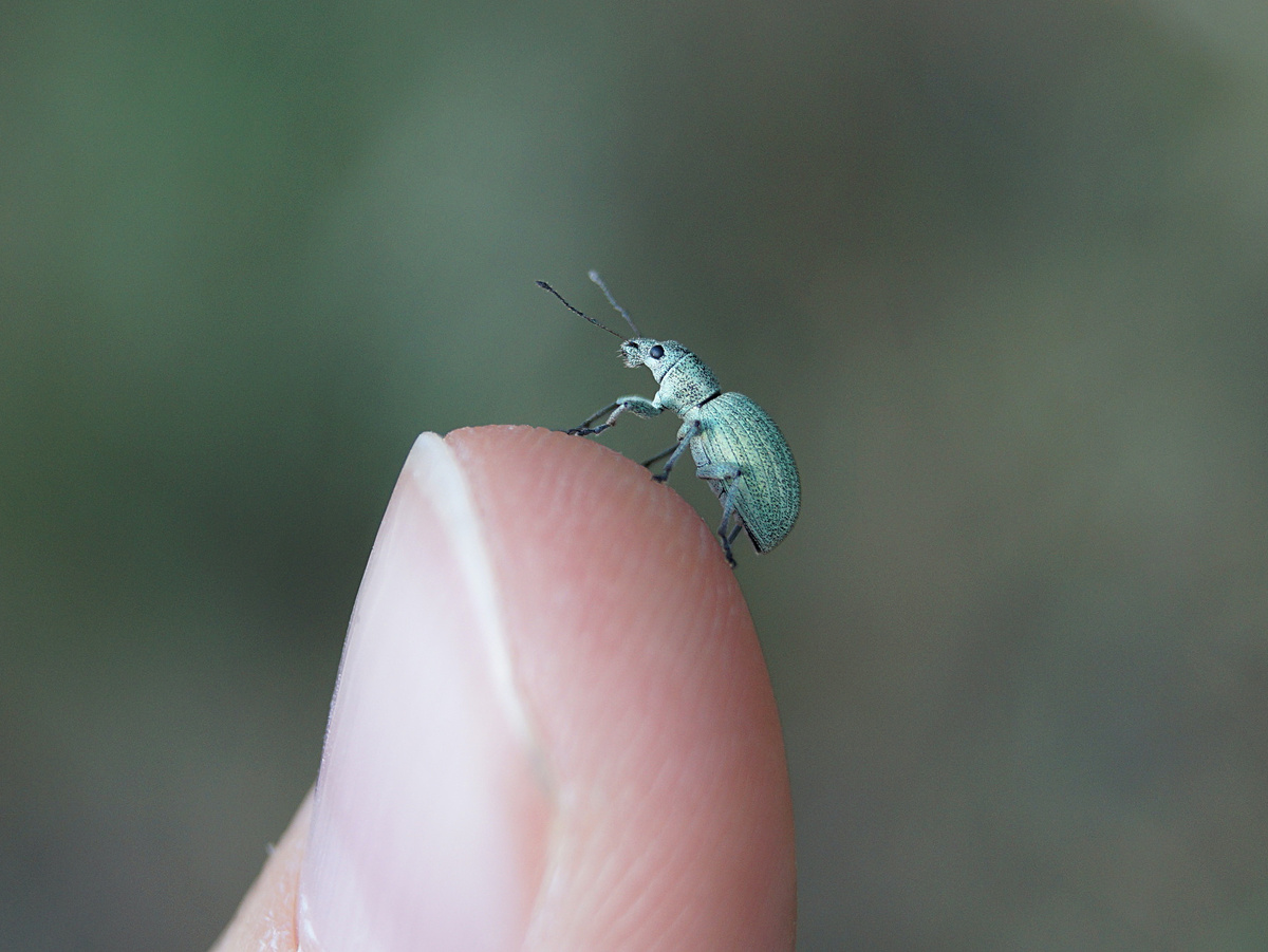 Фотография: Corinna Herr, CC BY-NC