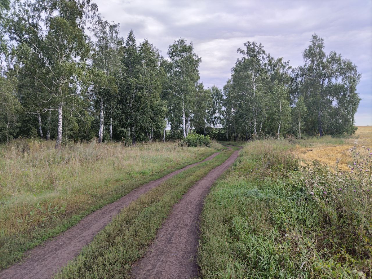 Фото автора.