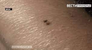    Источник фото: