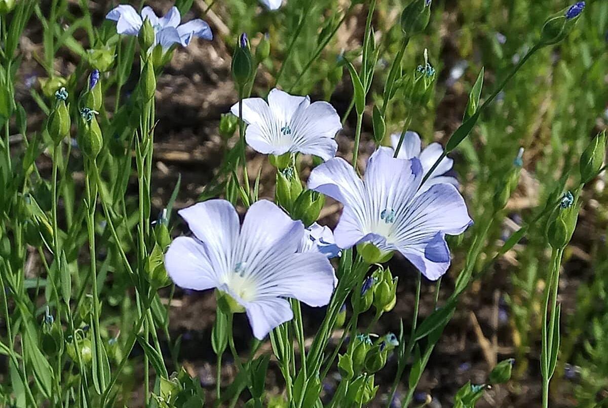 Фото: Е.Карабанов