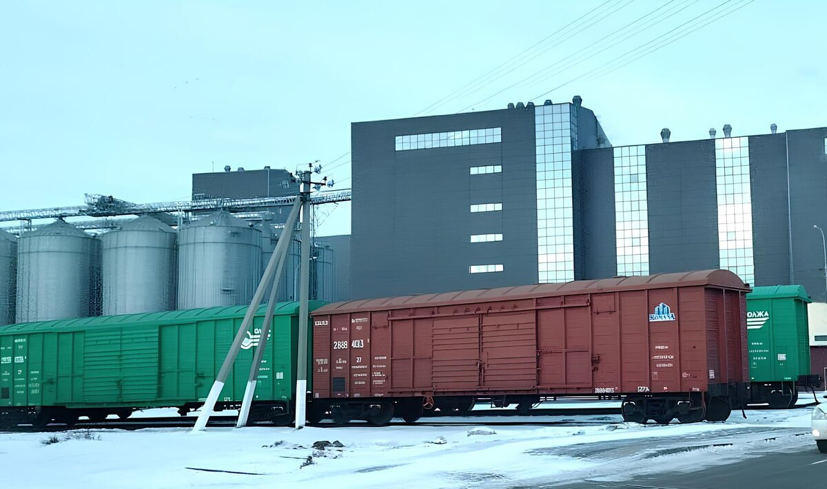 Фото: АПК Новости