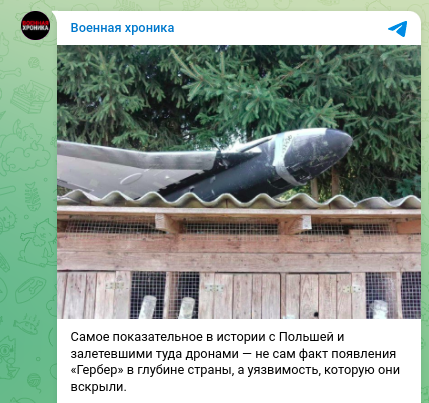    Фото: скриншот Telegram/"Военная хроника"