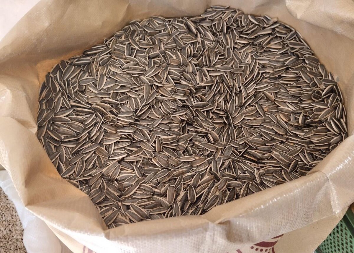 Фото: АПК Новости