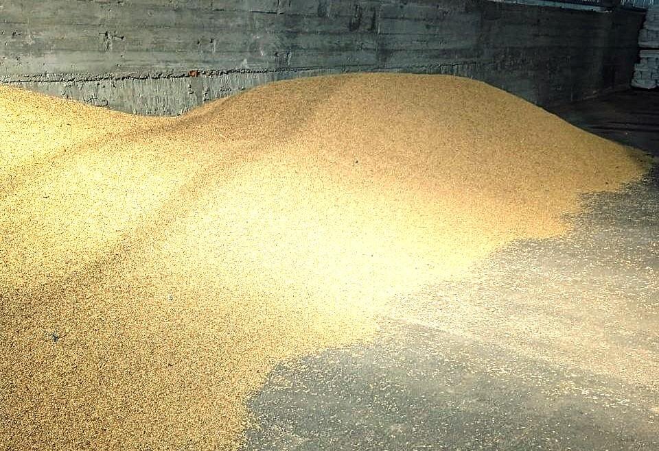 Фото: АПК Новости