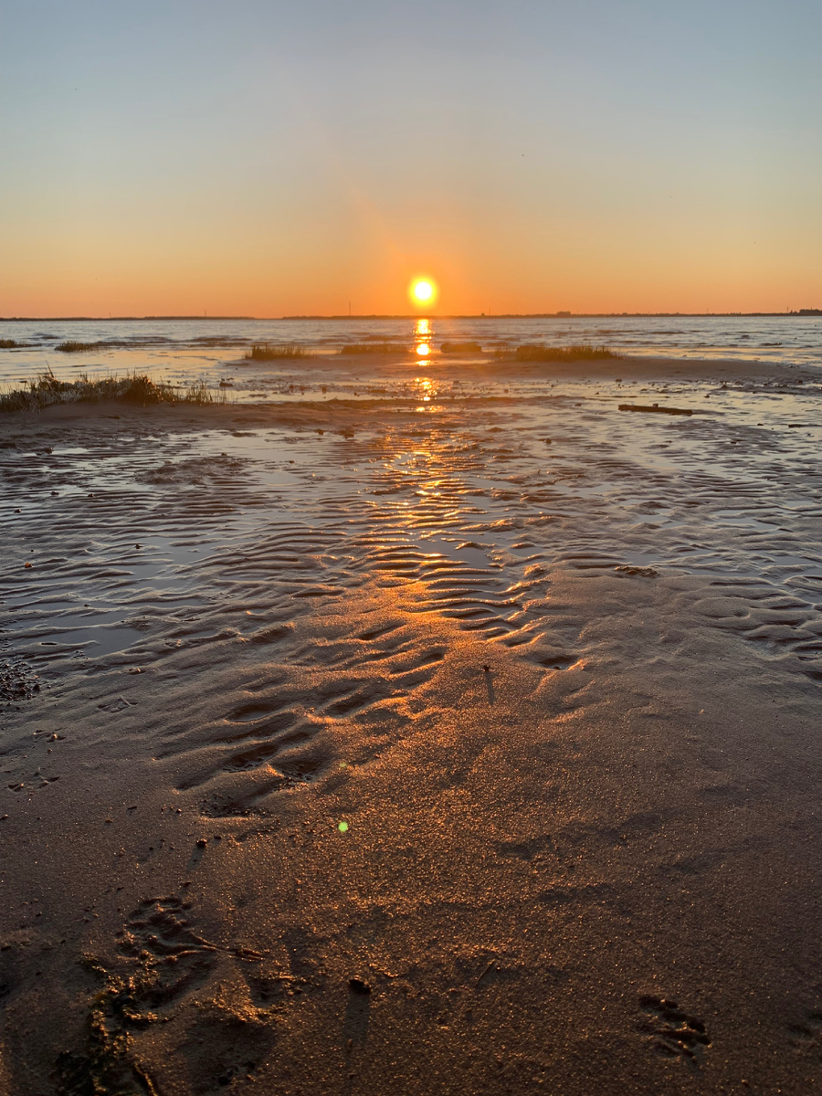 Дельта Северной Двины: другого берега не видать!