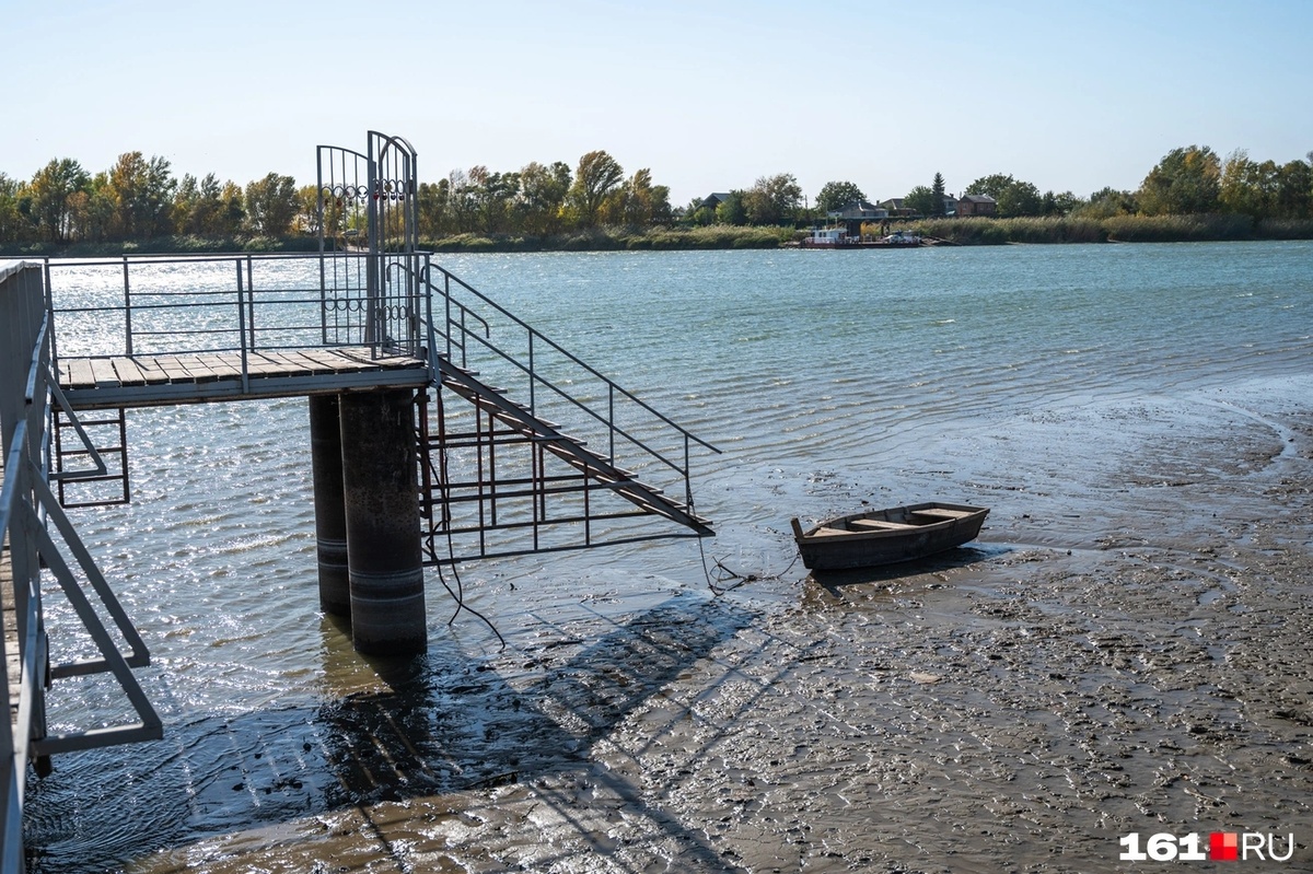 Евгений Вдовин / 161.RU