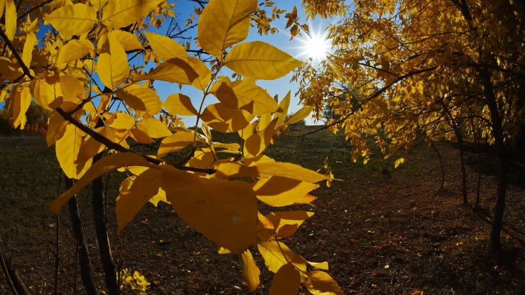    Фото: Олег Рукавицын/ Царьград