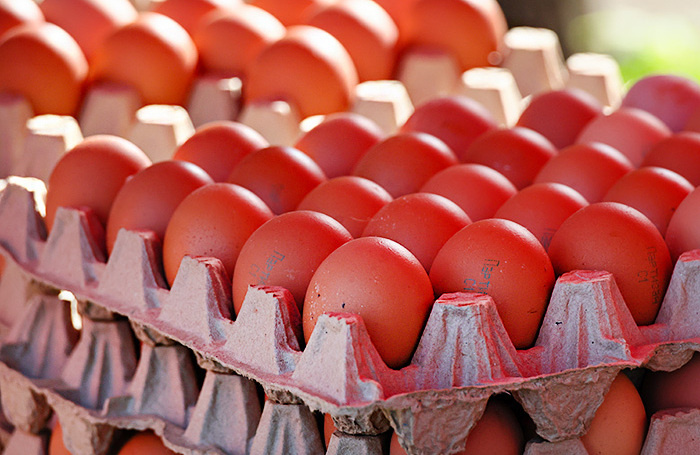    Сергей Мальгавко/ТАСС