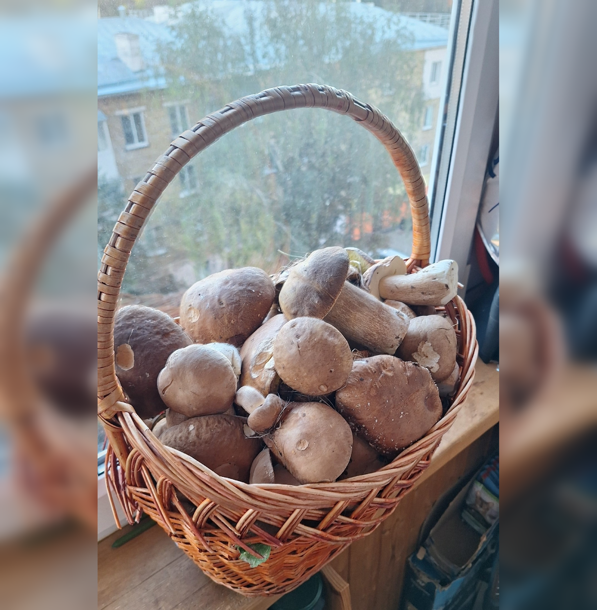 Фото: Александр Рогов