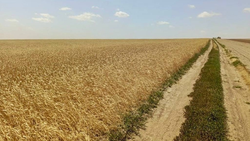      Фото: прокуратура СК