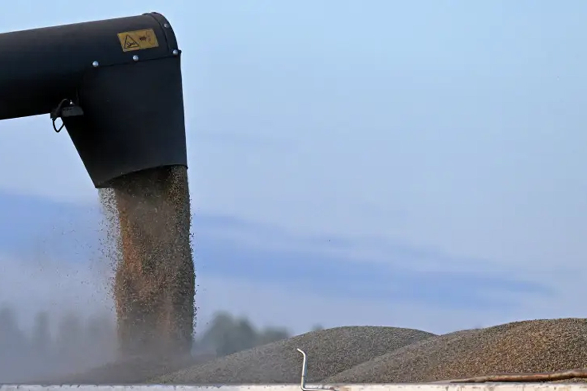    Фото: Илья Наймушин Источник: ria.ru