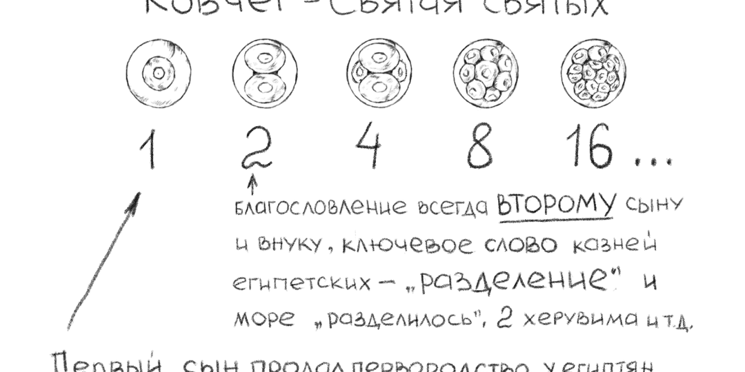 Библейский Ковчег откровения - это двоичный ряд роста клеток и эмбрионов.