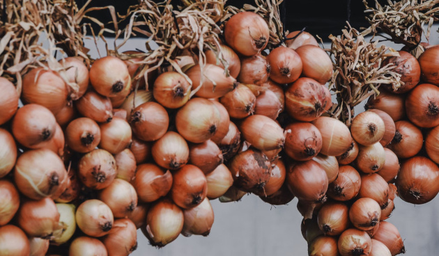    Фото: Frames For Your Heart, unsplash.com