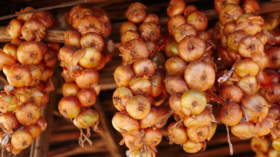 Фото: Slatan / Shutterstock / Fotodom