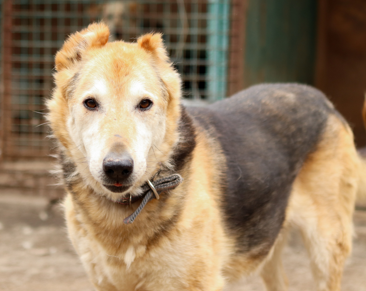 Да я уже так-то привык...