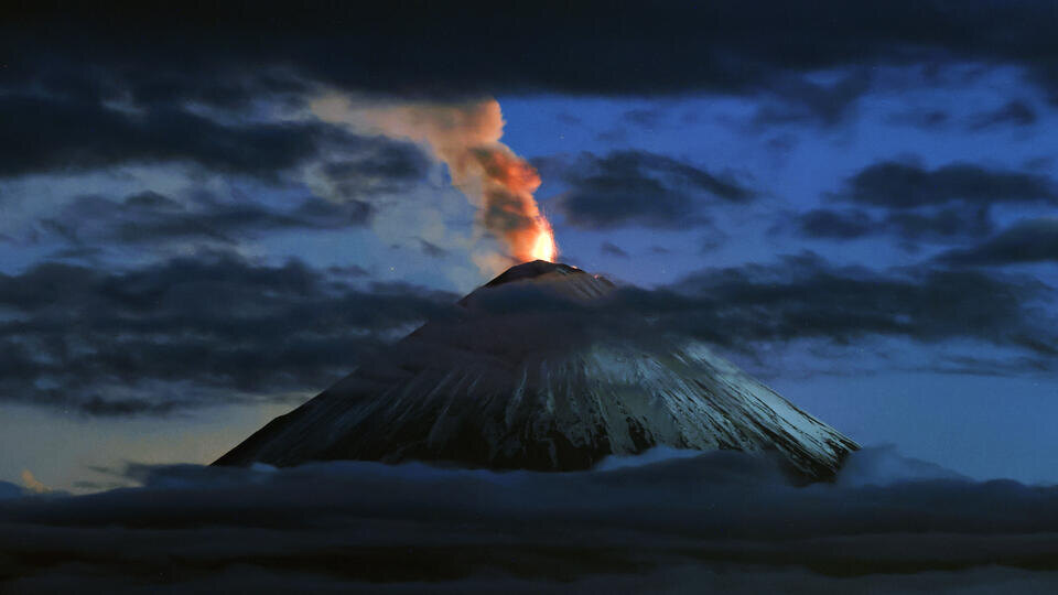 Фото: © РИА Новости/Юрий Демянчук