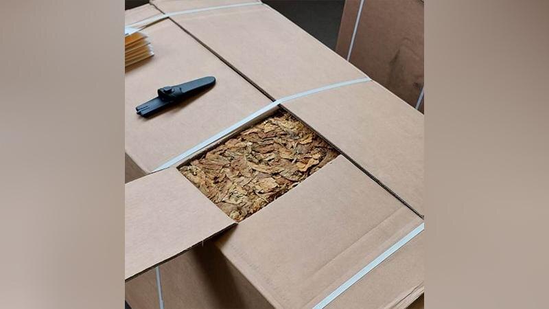    Фото: 178.fsvps.gov.ru