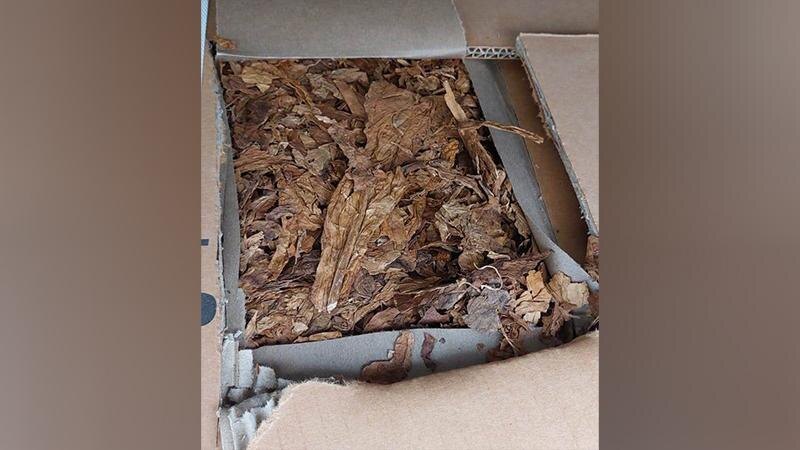    Фото: 178.fsvps.gov.ru