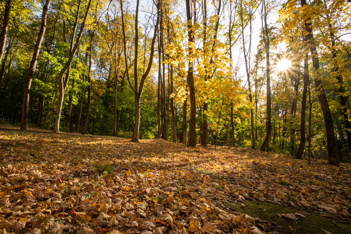 Фото: Тульская служба новостей
