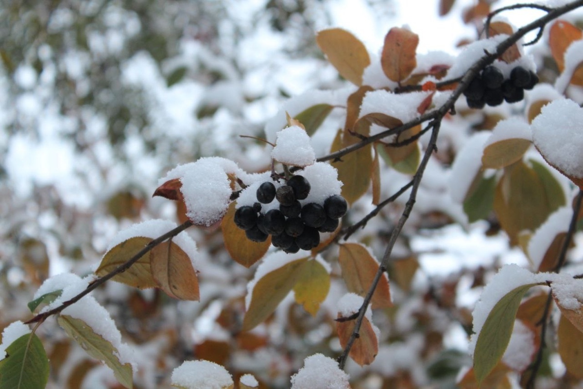    Фото: Мойка78