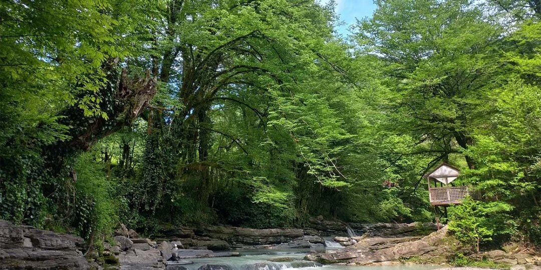 Шесть интересных мест в Сочи, о которых редко рассказывают туристам