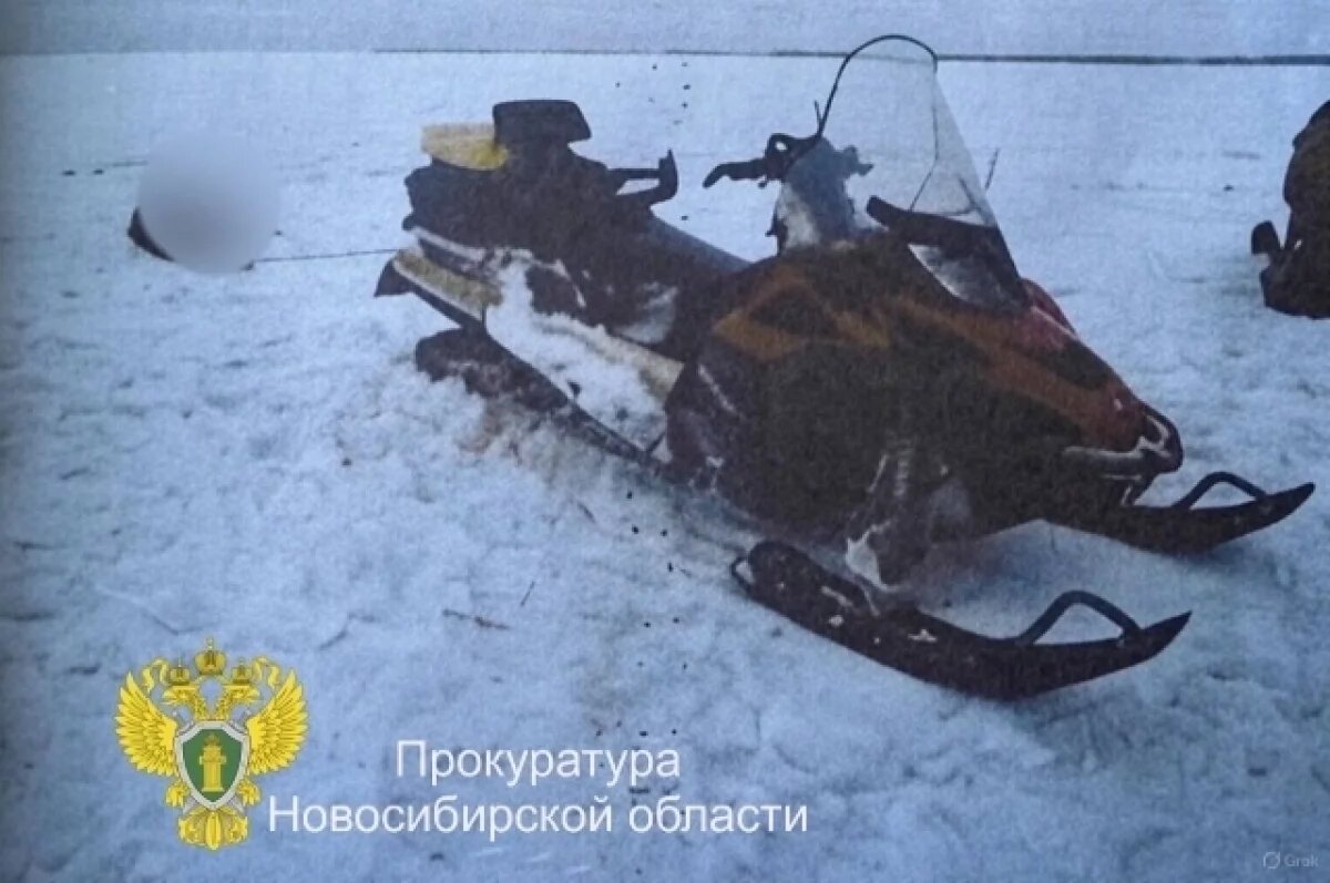    Трёх человек будут судить за незаконную охоту на кабана под Новосибирском