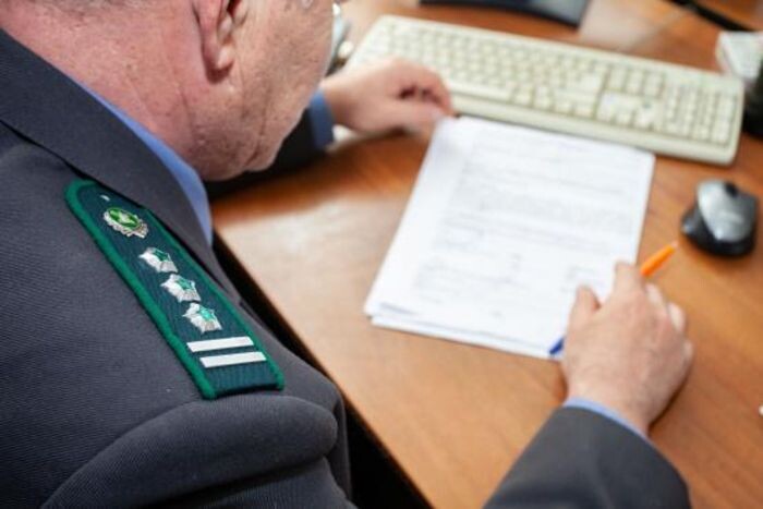 Иллюстрация: Россельхознадзора региона