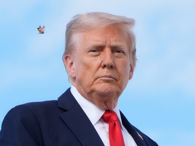    Фото: AP Photo/Alex Brandon