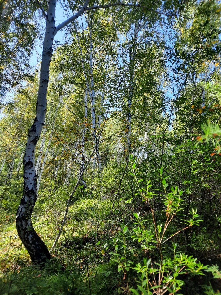 Фото автора.