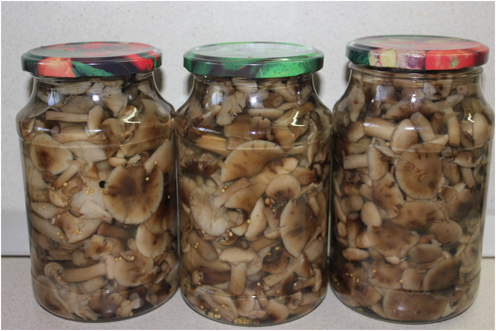 Личное фото втора.