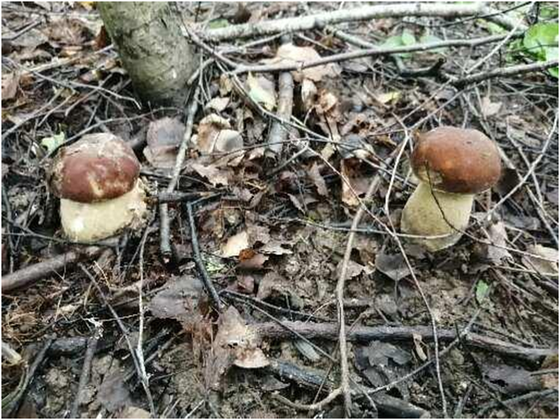 Личное фото автора.