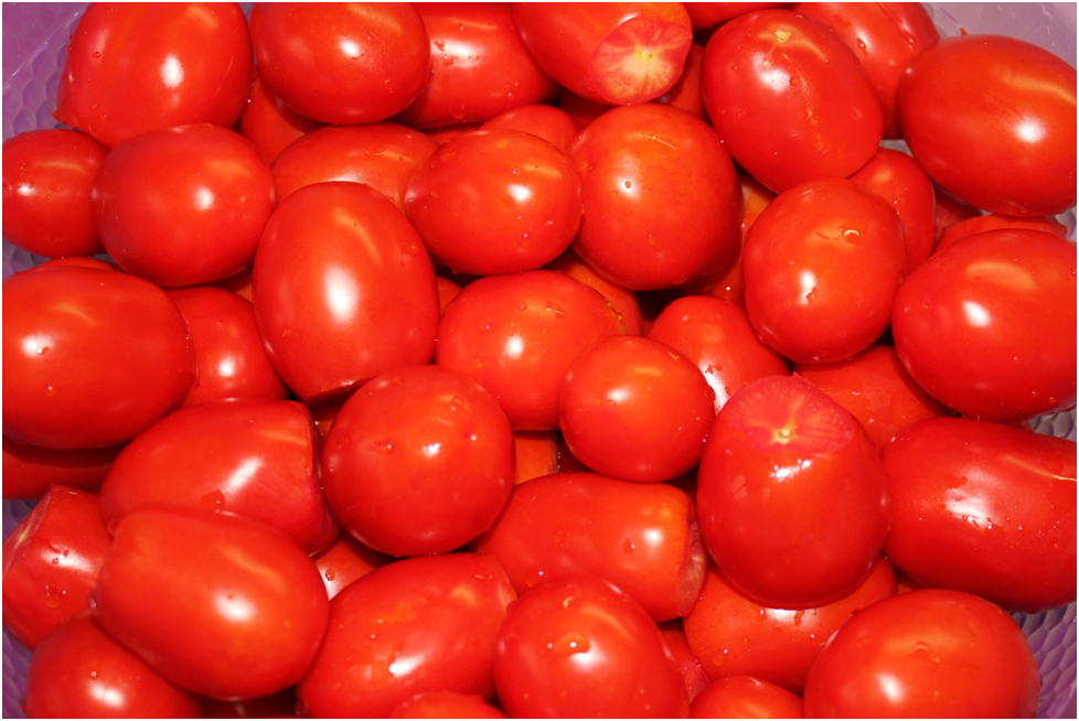 Личное фото автора.