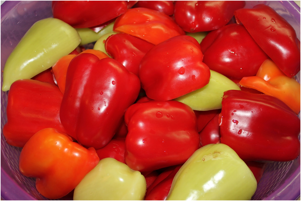 Личное фото автора.