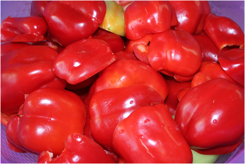 Личное фото автора.