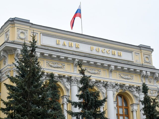    Фото: Москва 24/Никита Симонов