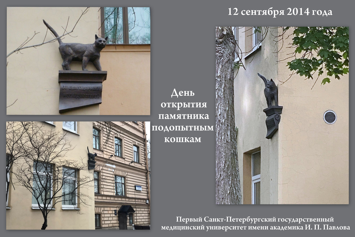 Коллаж автора