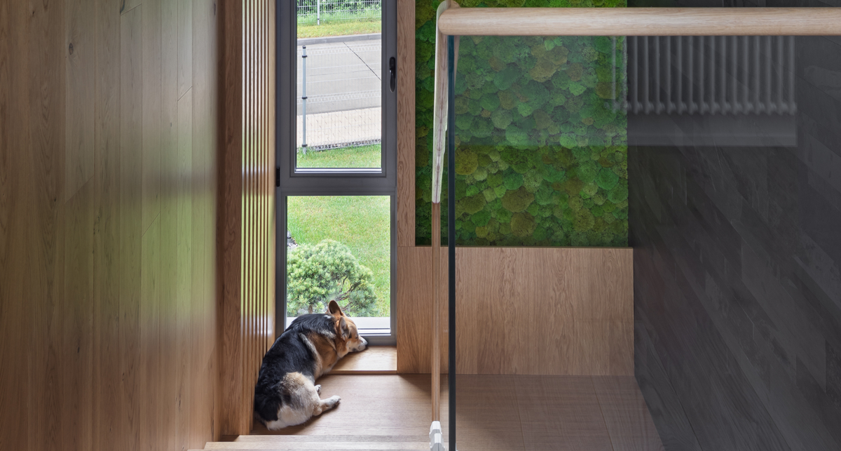 Интерьер с "живой" стеной