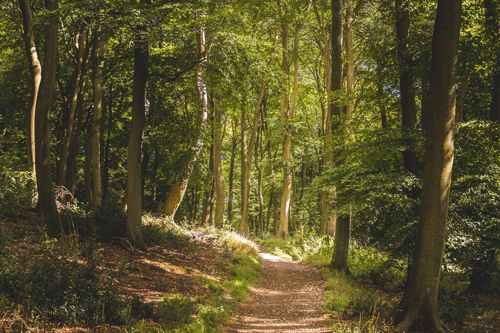    Иллюстративное фото: freepik