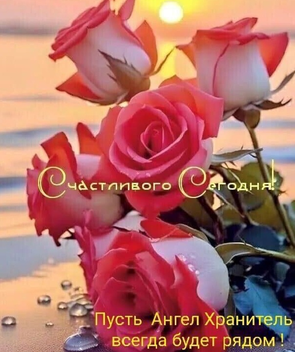 Фото из свободного доступа интернета