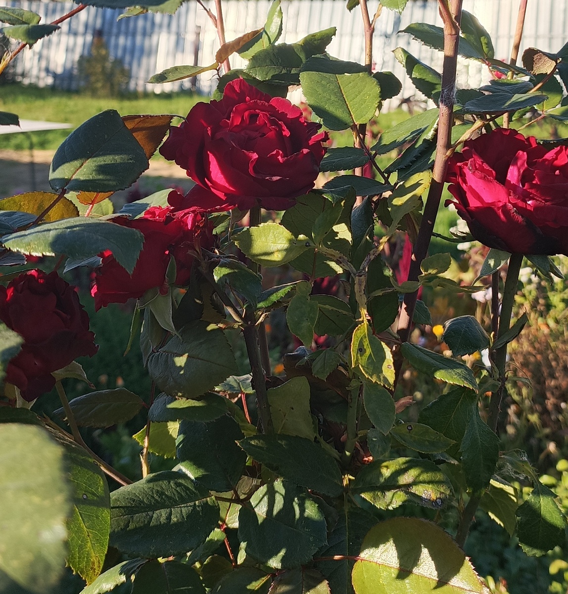 Фото автора статьи